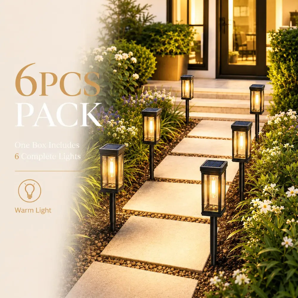 6-Pack - Warm White