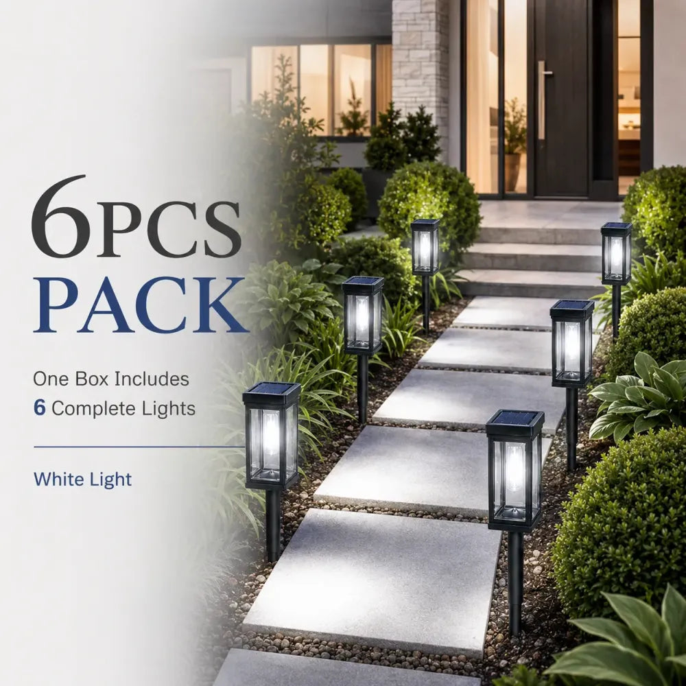 6-Pack - Cool White