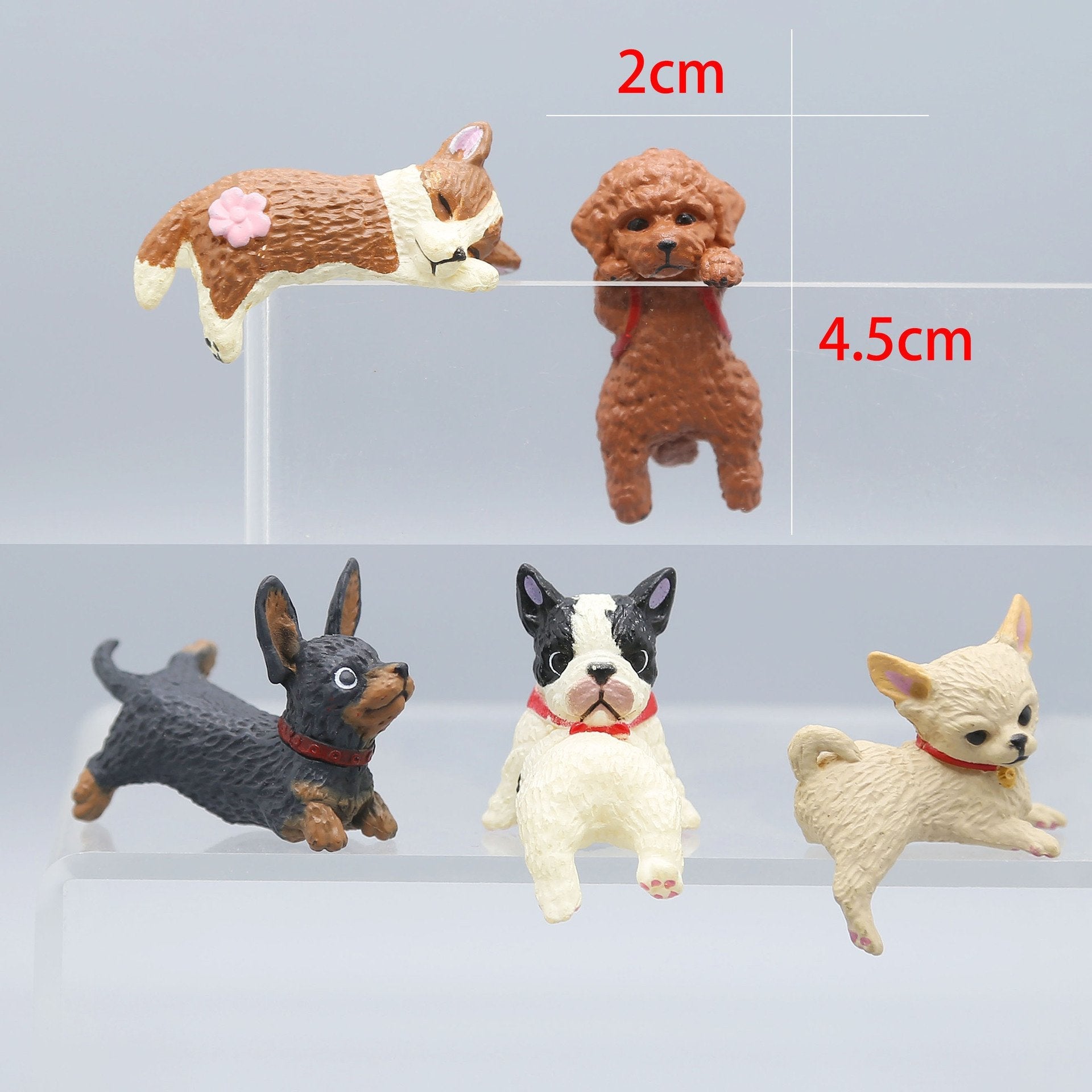 🐶Dog A (5 pcs)