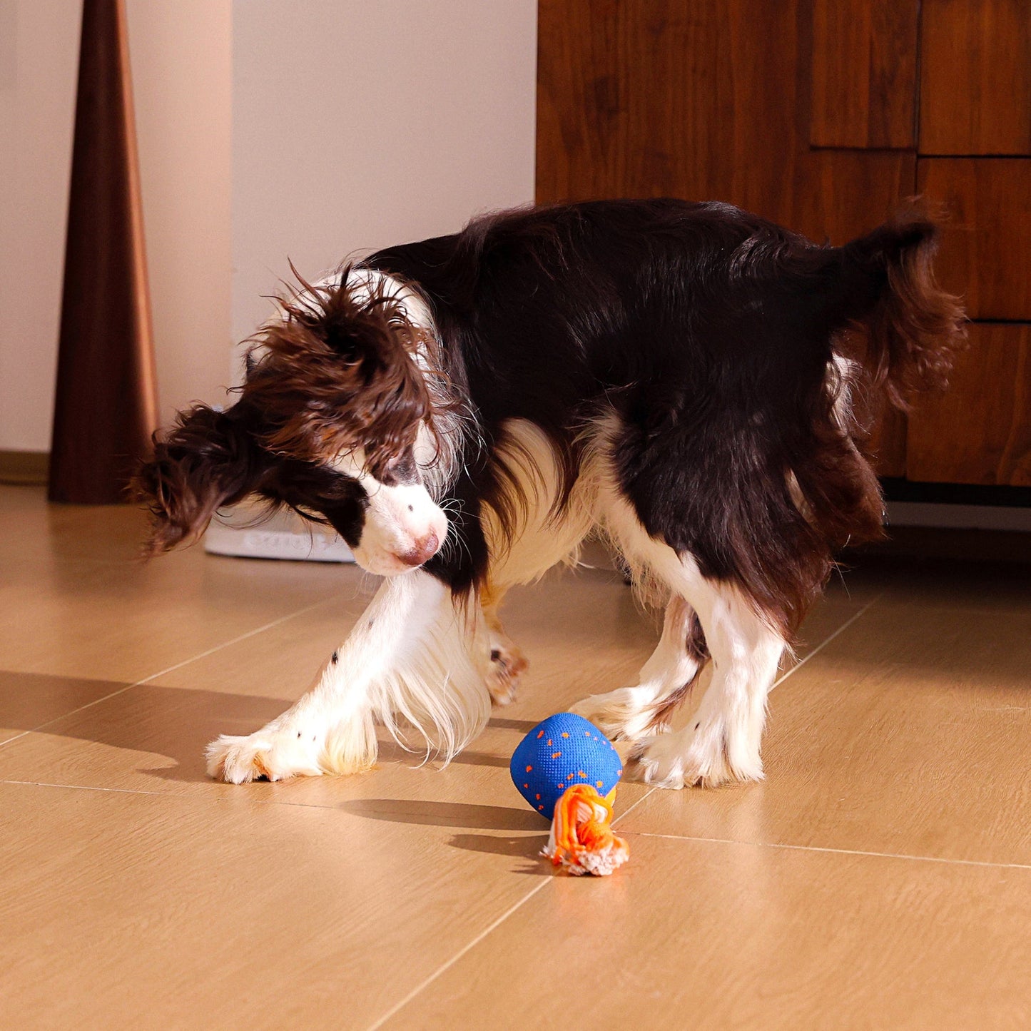 🔥2026 New Release - 50% OFF - RolloPaw™ Interactive Pet Toy Ball: Automatic Self-Moving Dog Toy for Boredom & Mental Stimulation 🐾 Quiet & Gentle on Teeth ✨