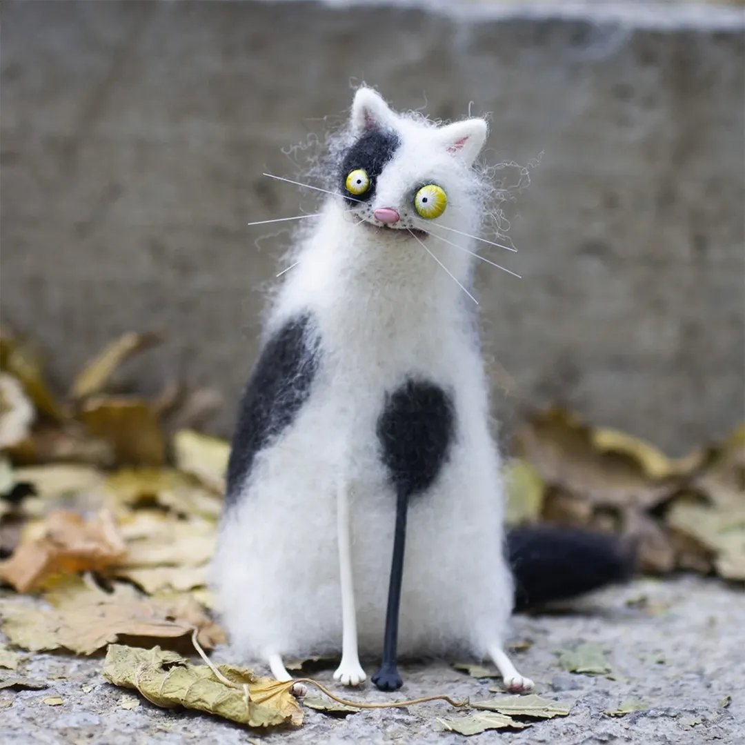 Strange cat(⏰7 in stock)